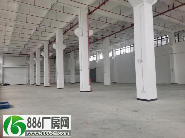 
惠州全新标准厂房出租，一楼，滴水十二米，重工业，工业用地

