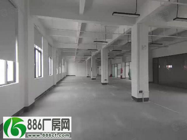
惠城区马鞍新乐工业区全新标准厂房1300平带精装修办公室

