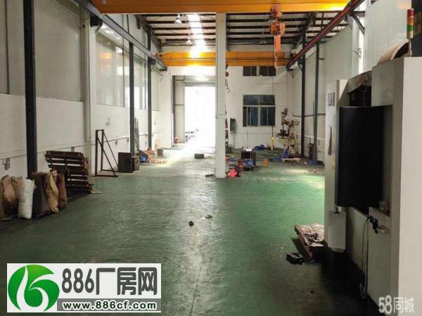
陈江新出工业园单一层厂房，高6米，免装修可拎包入住

