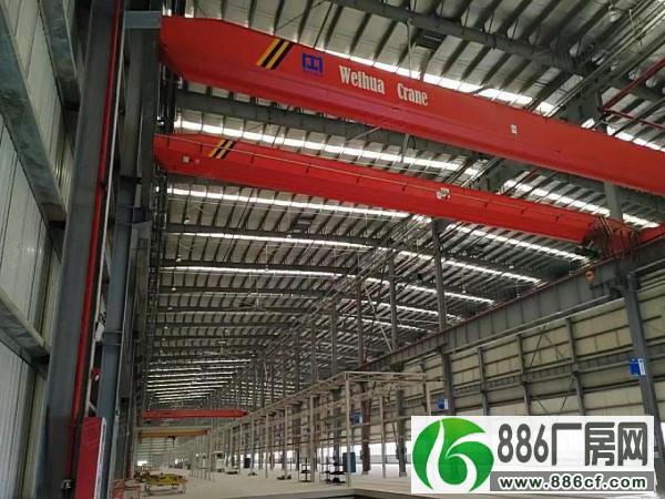 
全新11栋高标准单一层钢结构厂房出租，8万平米，有红本

