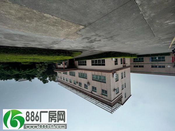 
惠阳秋长新出原房东8米高钢构厂房6500平方米底价出租


