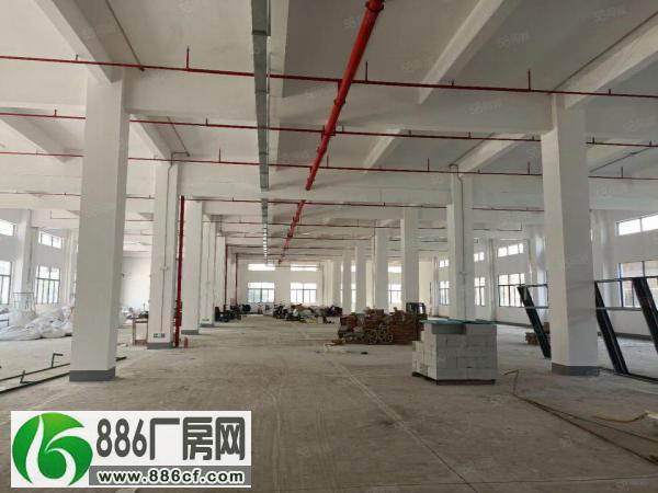 
马安工业园一楼1000平米分租高度6.5米

