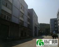 		蓬江荷塘吕步工业区厂房独院1层1000平米出租	