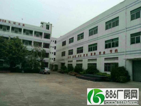		出租蓬江荷塘标准独院厂房3600平方米带装修	