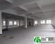 		蓬江荷塘吕步工业区标准独院分租一楼1000平方	