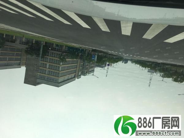 江北新区中山科技园有7栋厂房出租面积五千到八千平都有