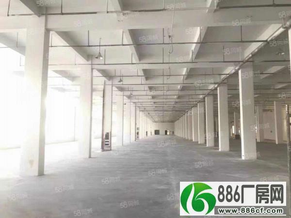 渭塘新房源独立一楼560平厂房出租（高度7米）图片真实