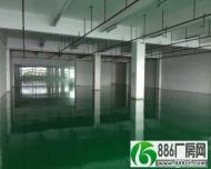 平湖清平高速标准一楼700平方招租带精装修地坪漆