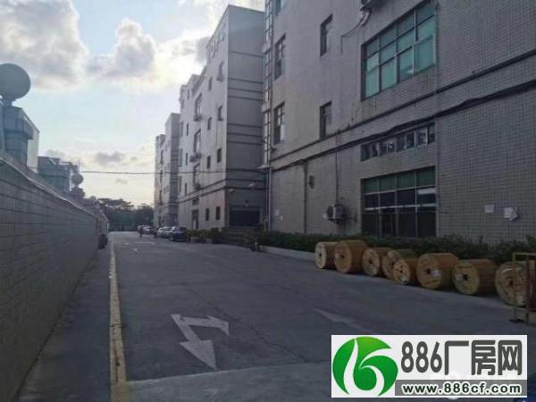 观澜观光路旁原房东，价格实惠