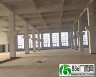 平湖富民工业区新出7米高一楼500平方800平方招租