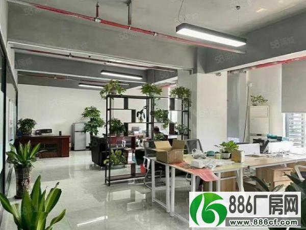 大浪商业中心华昌路精装修办公室出租160平和500平，