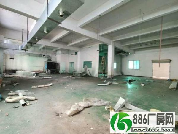 光明翠湖社区一楼650平厂房出租带装修独立办公室