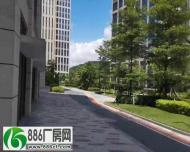 坪山创新科技园原房东红本9楼500平方精装修办公室大小可分