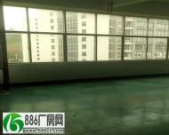 深圳龙岗坪地低碳城楼上厂房出租5000平大小分租实际面积出租