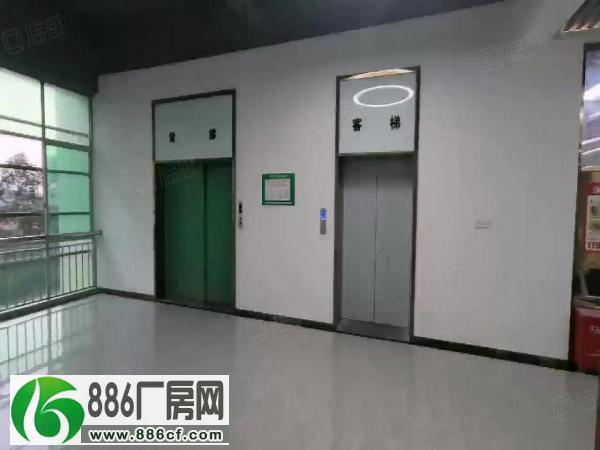 龙岗坂田杨美电商园楼上小面积450平带装修办公室仓库低价出租