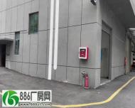 
福永新和380平楼上带装修厂房仓库出租园区形象好停车位充足

