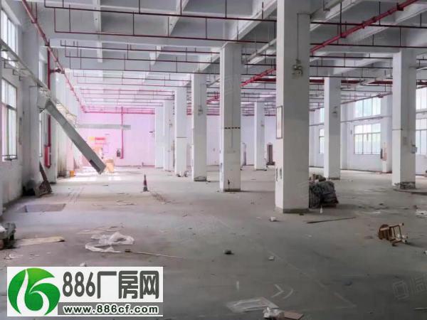 
公明李松蓢原房东厂房一楼2500平，高6米，近高速口可进大车


