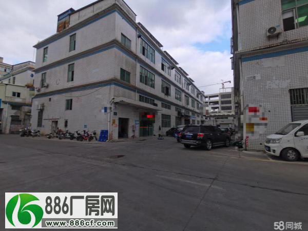 
平湖原房东标准厂房三楼1100平方整层实量面积

