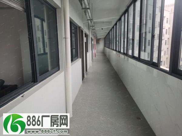 
深圳龙华大浪商业中心全新小面积商住二用办公室招租

