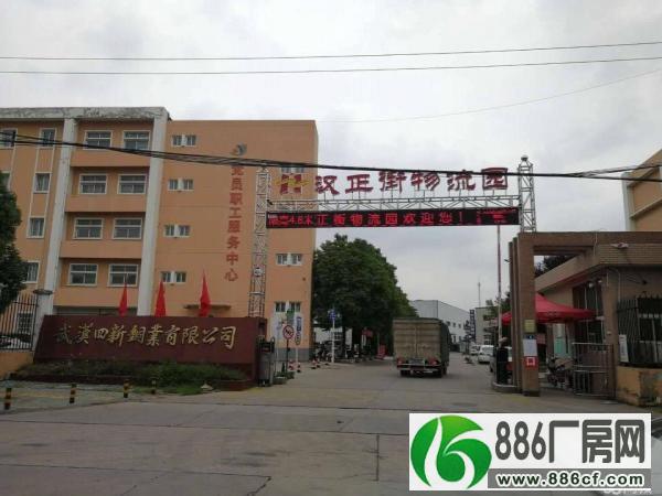 X汉阳口工业园内1200平钢构厂房低价出租个人房源