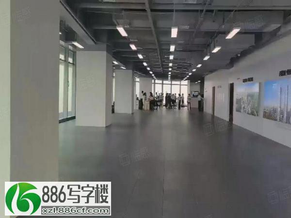 深圳北地标楼盘，星河双子塔200一3000平超长免租期