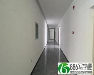 塘坑地铁口 峰荟中心精装修甲级写字楼230平