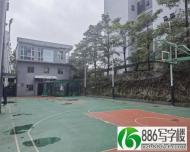 坪地启创七彩云谷 有篮球场的办公室 业主直租 价格好说