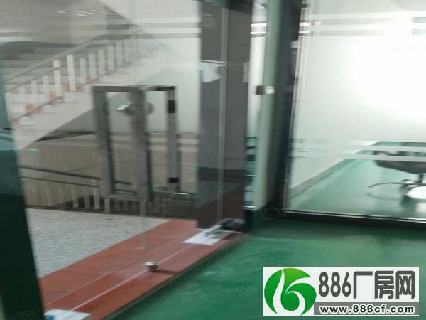 2000方独门独院，东凤镇标准厂房带办公室地坪漆。