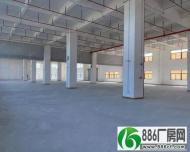 四沙工业区新出大型工业园区厂房招租5200平，每层2600平