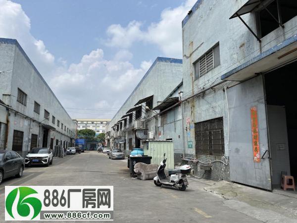 
东凤镇电子城附近2350方单一层诚意招租只要16元周边无居民


