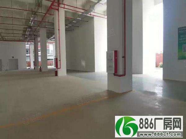 
东凤新建53800方园区厂房承重1.5吨大小可分租办环评

